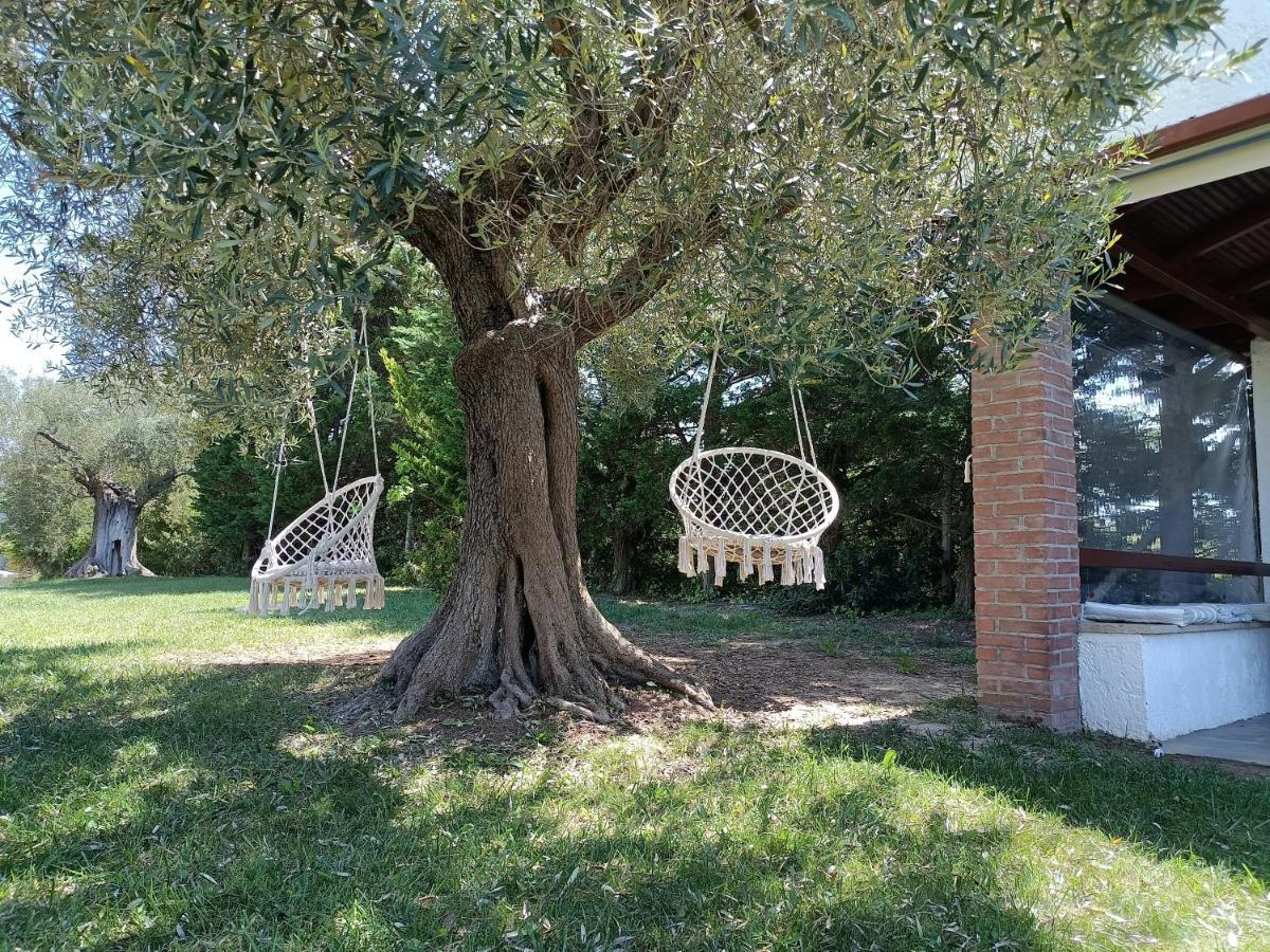 Appartement Marios Garden House à Áfitos Extérieur photo